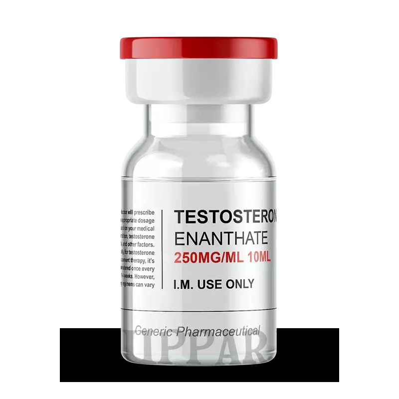 Testosterone Enanthate 250mg/ml 10ml