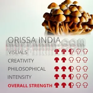 Orissa India 250mg